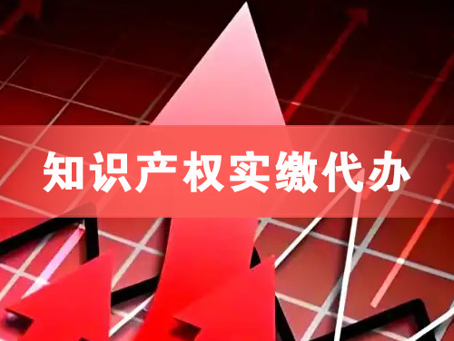 柳州知识产权实缴资本代办